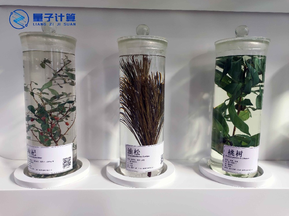 浸制标本