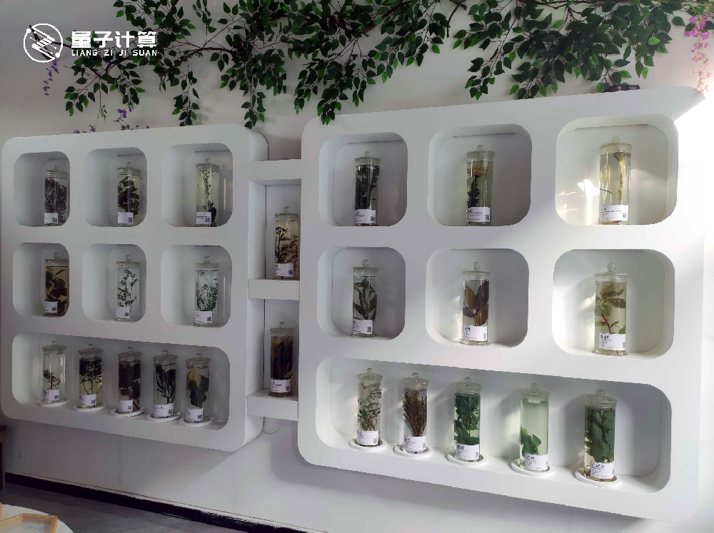 浸制标本展示台